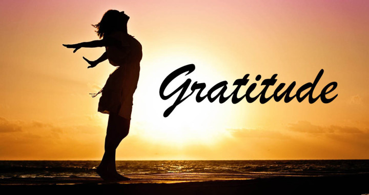 Don't take gratitude for granted! | Center for Social Emotional Wellness